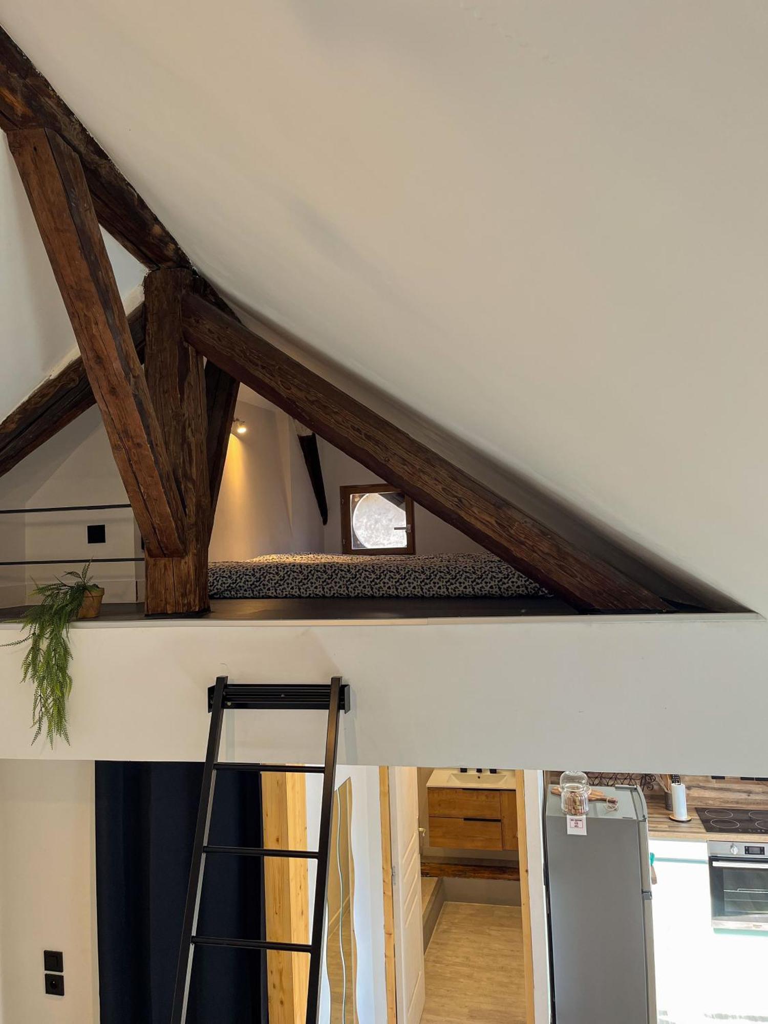 Cocon Sous Les Toits Lägenhet Albertville Exteriör bild