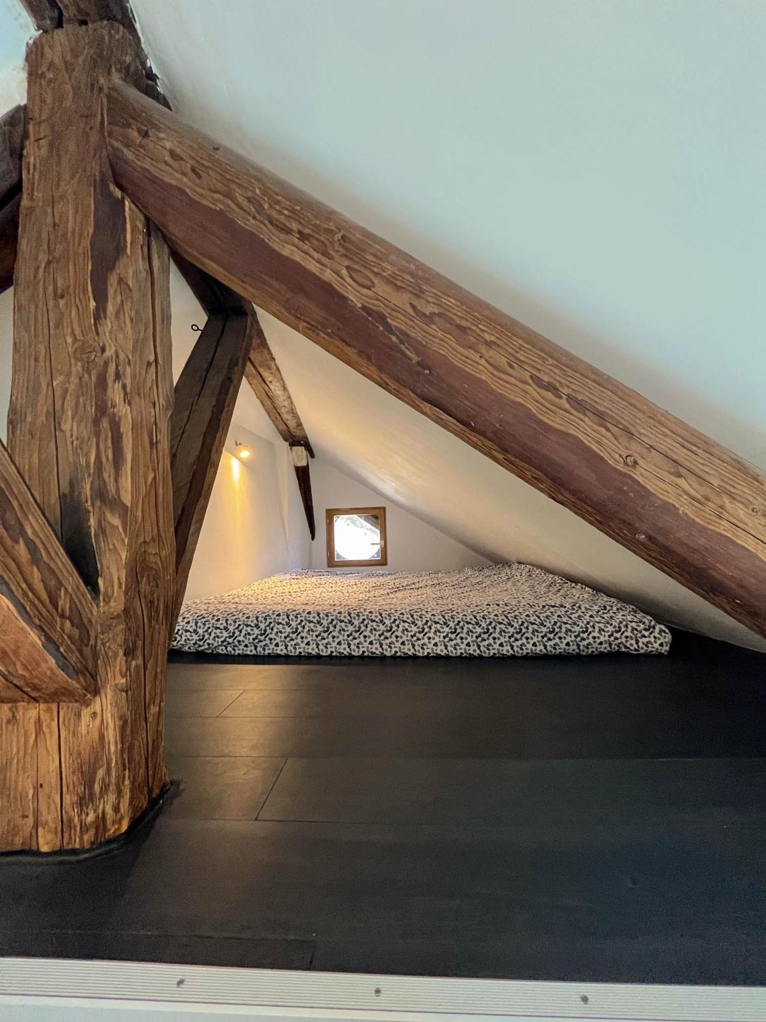 Cocon Sous Les Toits Lägenhet Albertville Exteriör bild